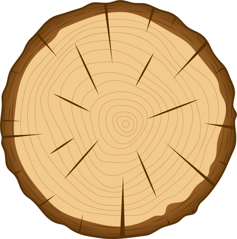 Tree Log Illustration